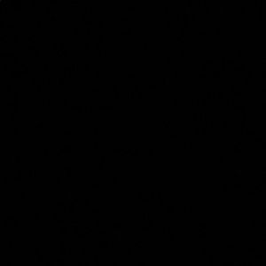 Meet your Posher, Massey